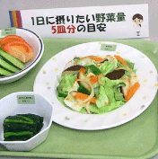野菜摂取目安量の料理見本や体脂肪サンプルを展示